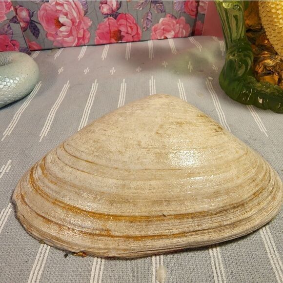 DECOUPAGE CLAM SHELL DECOUPAGE RED BARN TRINKET DISH - Picture 8 of 8